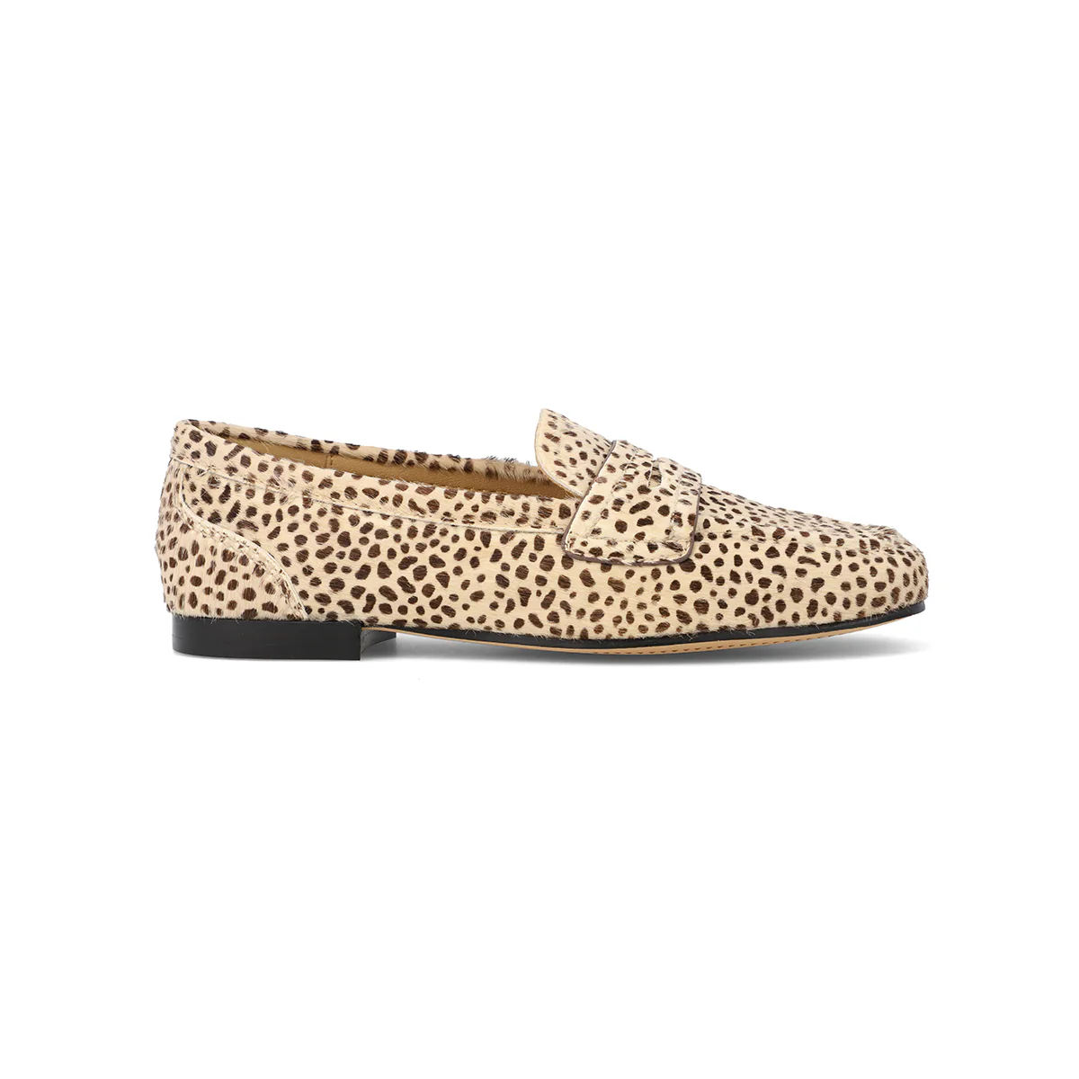 BAHAR - CHEETAH - Image 2