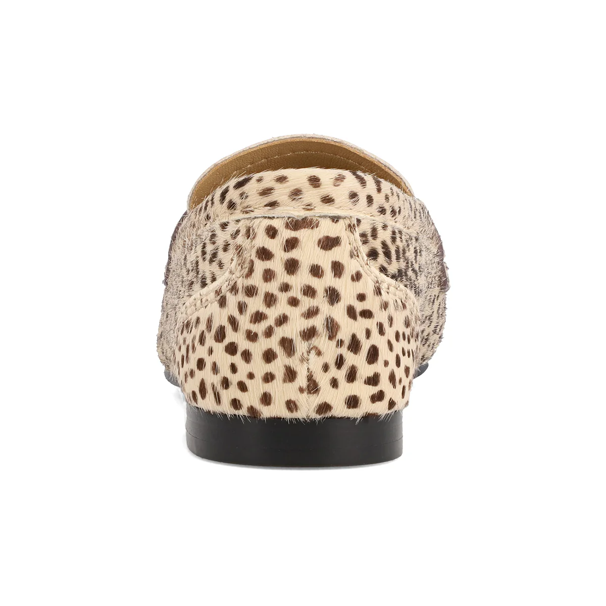 BAHAR - CHEETAH - Image 3
