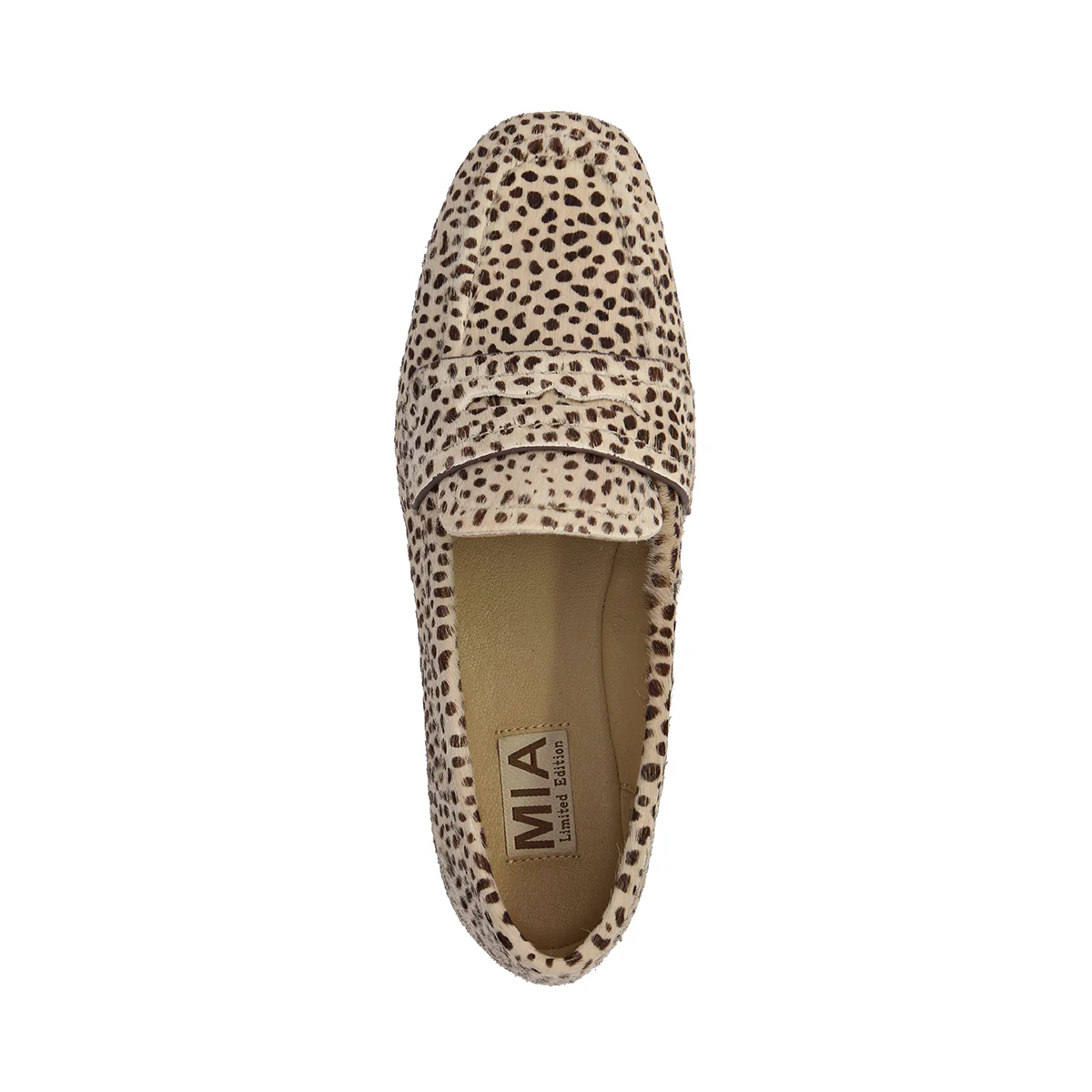 BAHAR - CHEETAH - Image 4