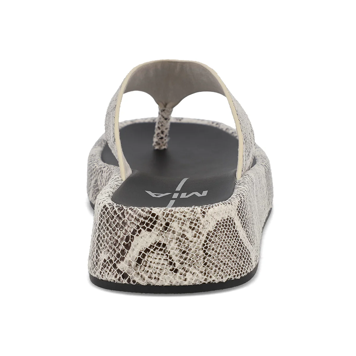 PAMELIA - SNAKE - Image 3